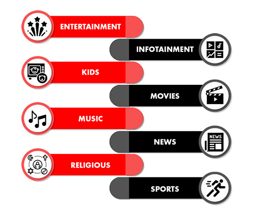 Watch Malayalam TV Channels Live in the USA